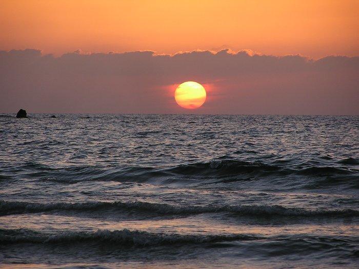 Tlvsublet Hayarkon Apartment Tel Aviv Bagian luar foto
